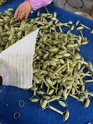 ماساژور رولر ژاد دو طرفه برای زیبایی طبیعی و رفع صورت